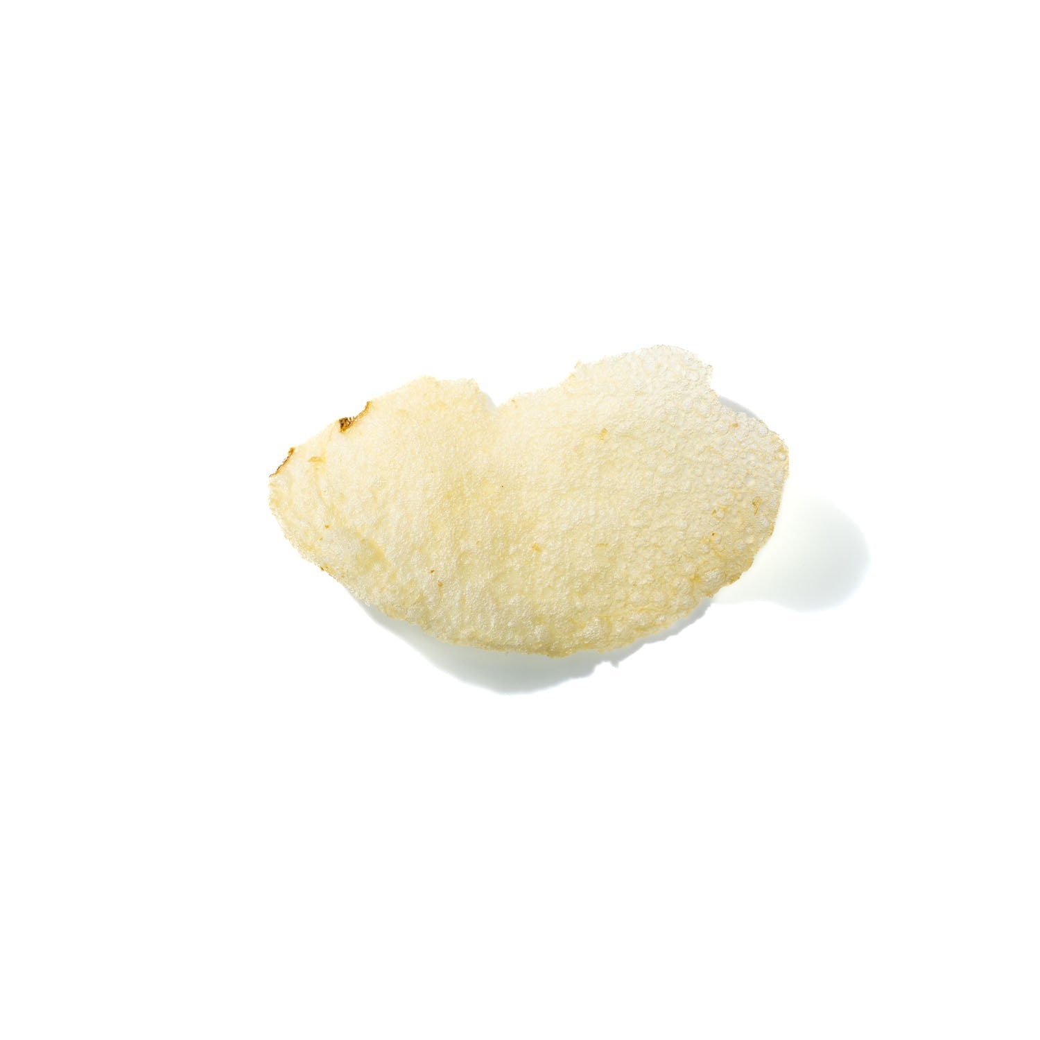 Potato Chip No. 749