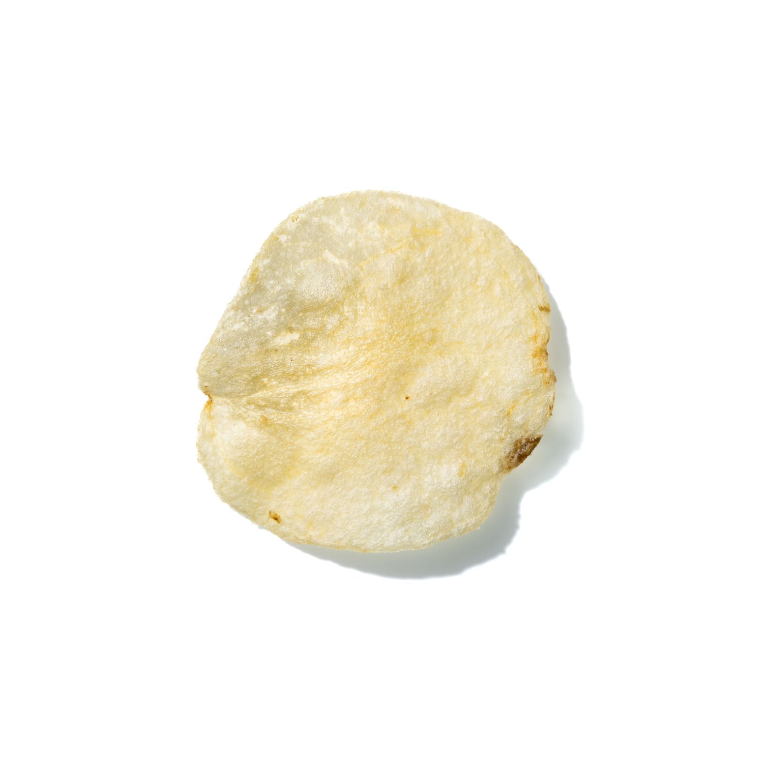 Potato Chip No. 795