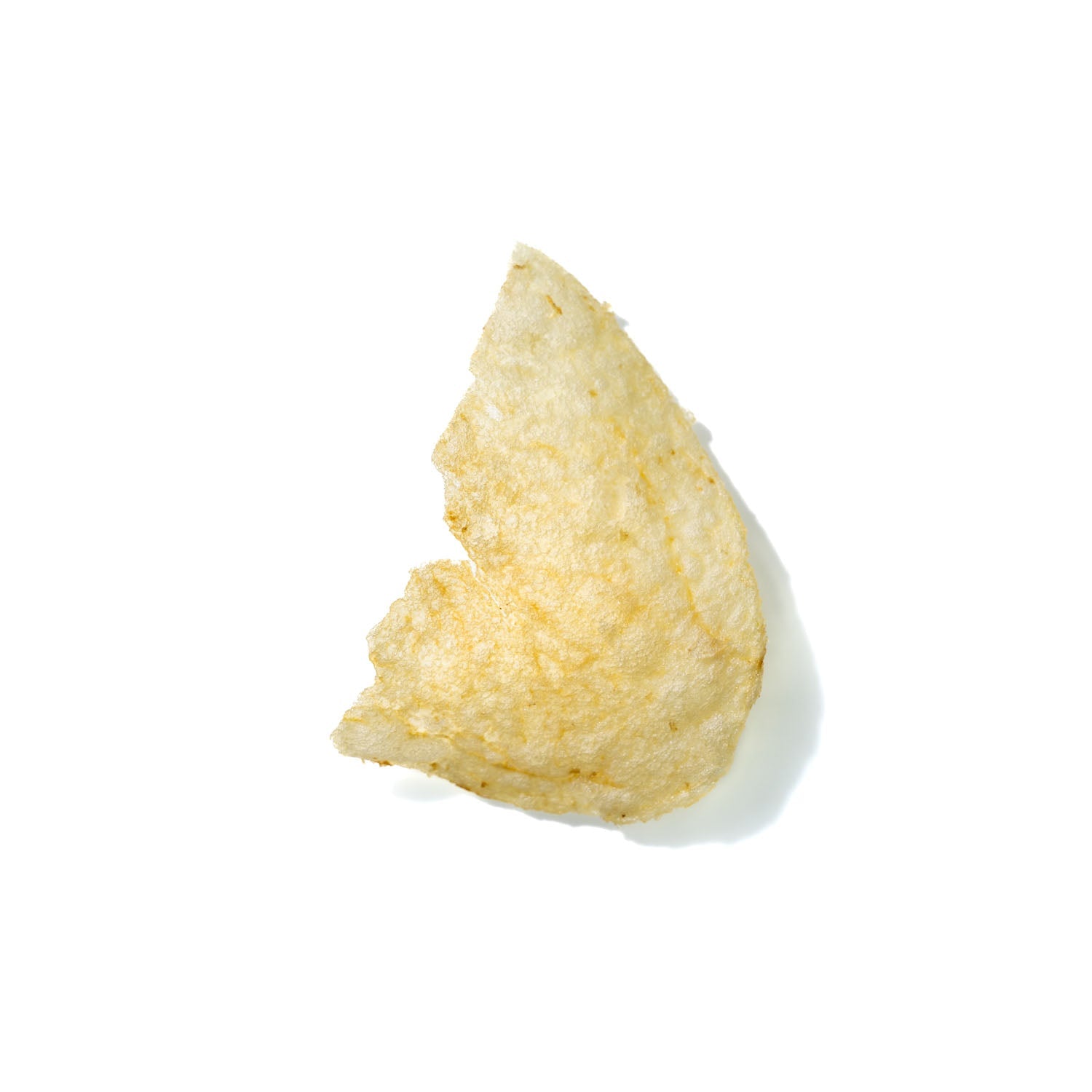 Potato Chip No. 821