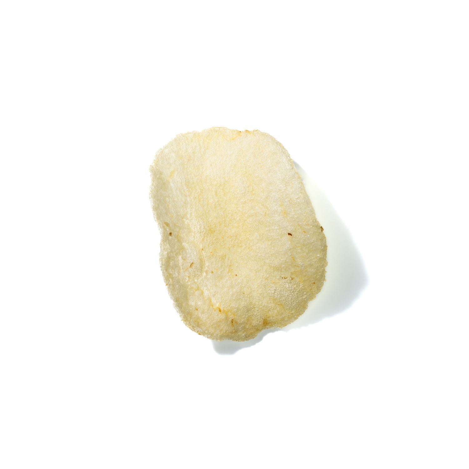 Potato Chip No. 831