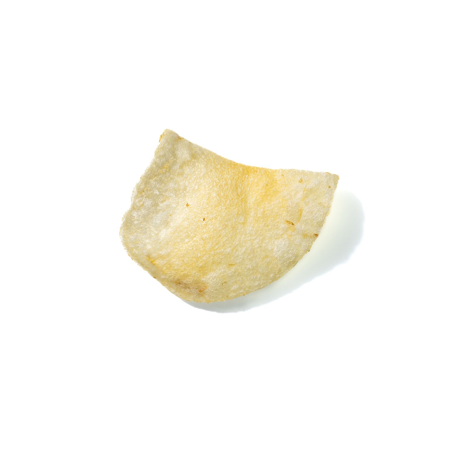 Potato Chip No. 842