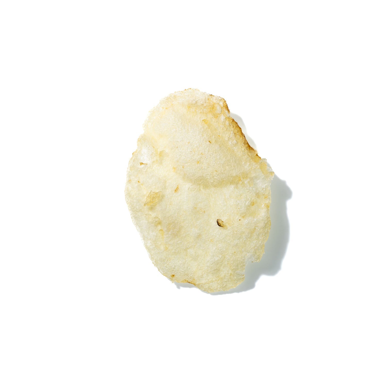 Potato Chip No. 849