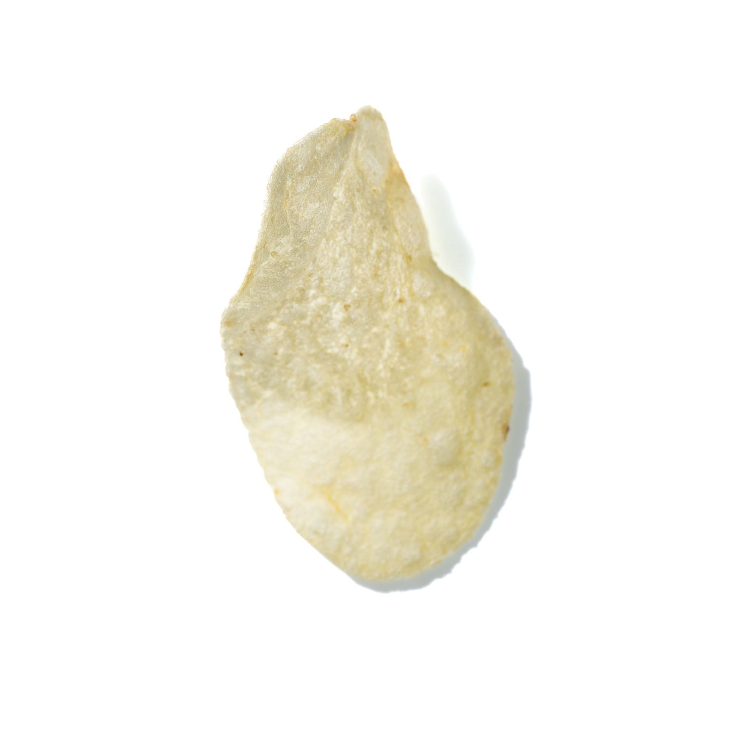 Potato Chip No. 857