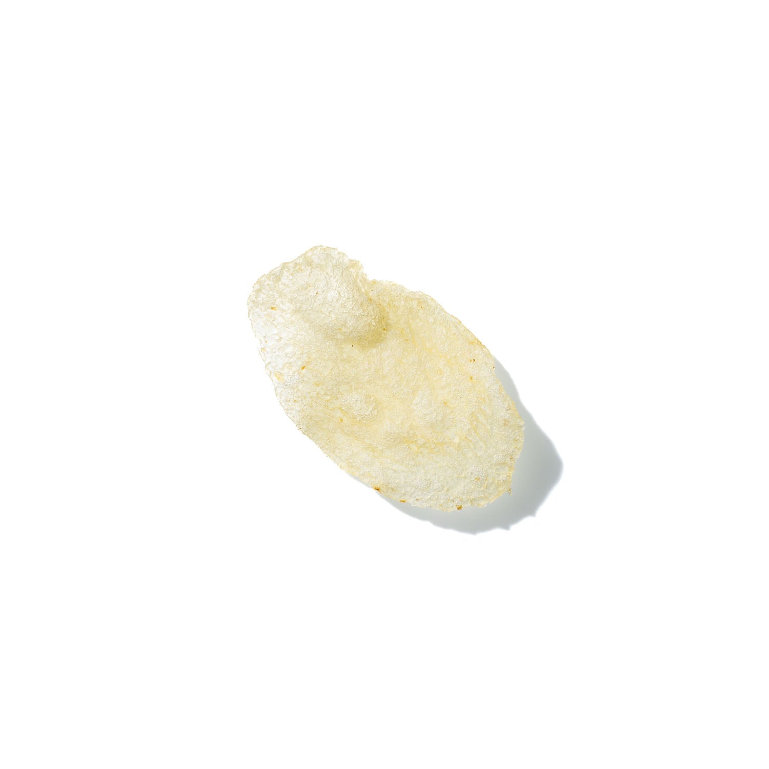 Potato Chip No. 861