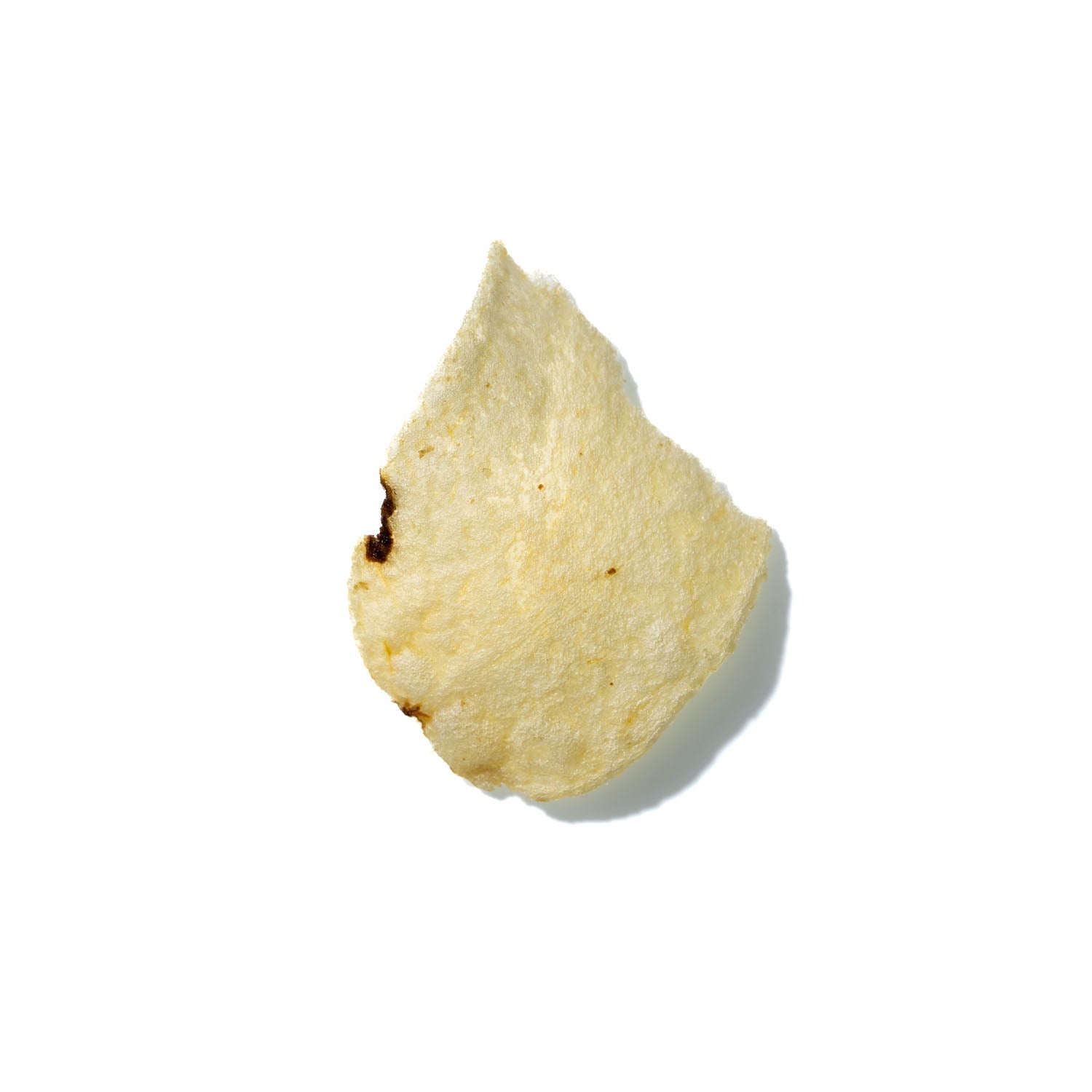 Potato Chip No. 891