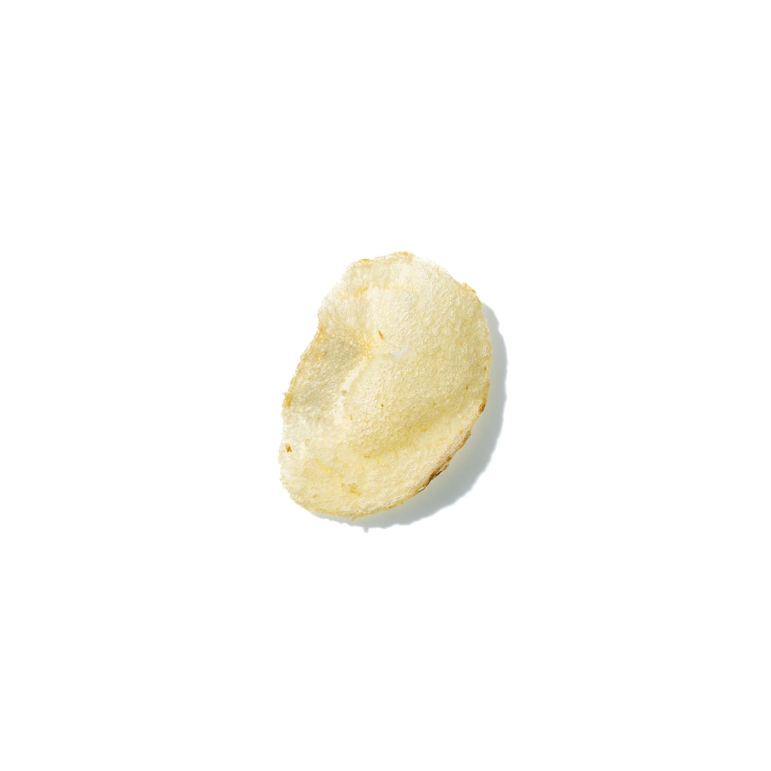 Potato Chip No. 895